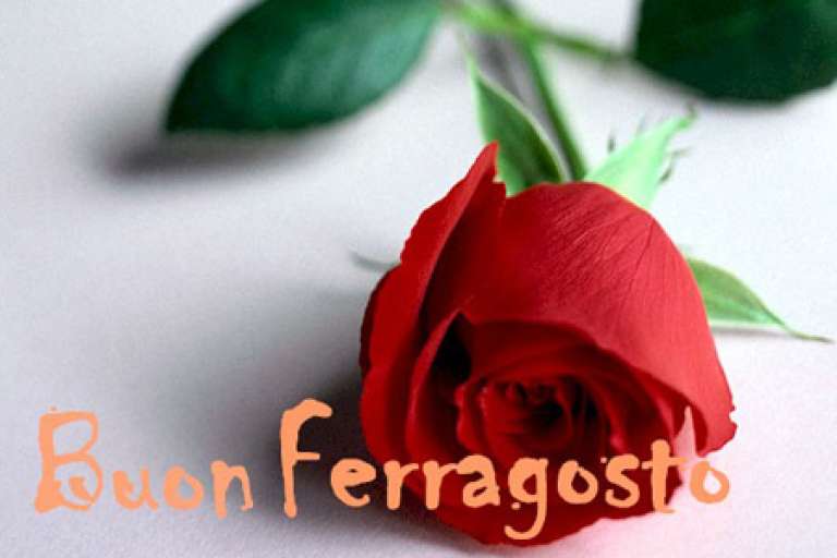 Settimana di Ferragosto Offerta 7 notti